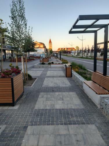 Apartament Oliwkowa Per?a