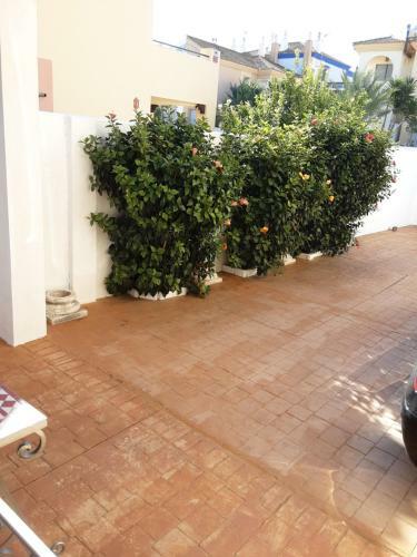 Casa-chalet-zahara de Los Atunes-cadiz