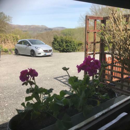 Bwythynod Helmau Cottages