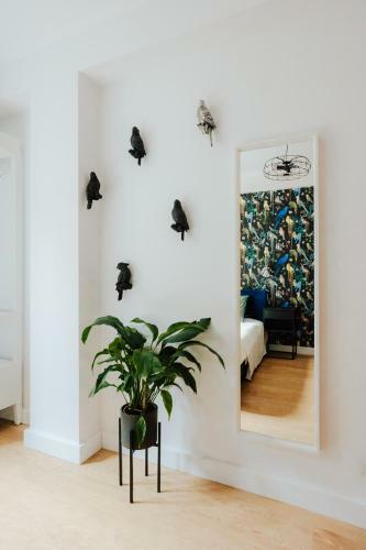 Apartament Rynek Wi?zienna