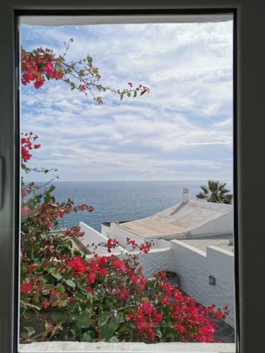 Apartamento San Agust�n Seaviews And Flowers