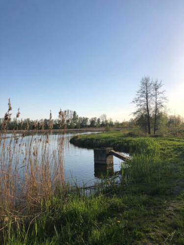 Apartamenty Zacisze