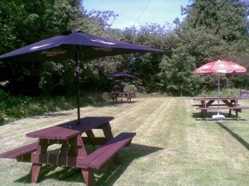 Bed & Breakfast Emlyn Arms