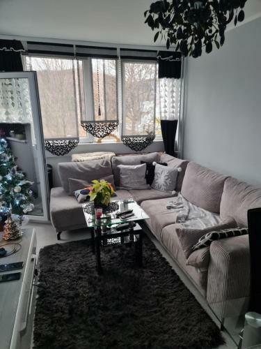 Apartament Przy Kopalni Z?ota