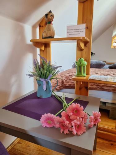 Bed & Breakfast Karczma Regionalna M?yn