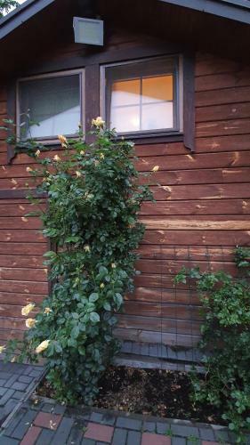Bed & Breakfast Karczma Regionalna M?yn