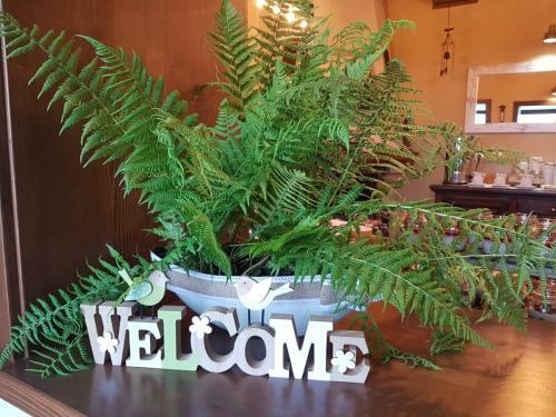 Bed & Breakfast Bac�wka Na Zadzielu