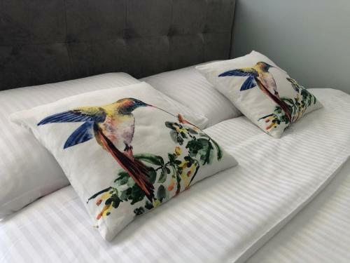 Nadmorskie Zacisze - Apartament D?bina
