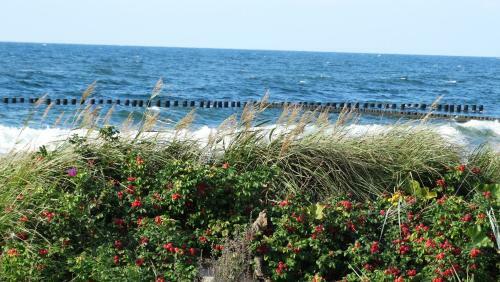 Apartamento Dar?�wko By The Sea