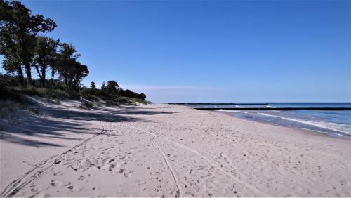 Apartamento Dar?�wko By The Sea