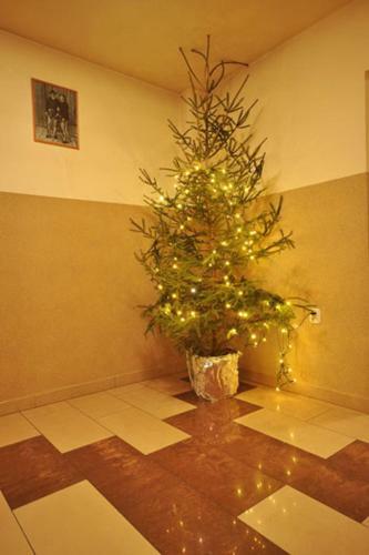 Bed & Breakfast Willa Bystry Potok