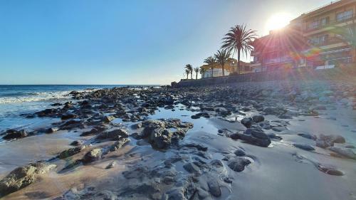 Apartamentos Alayna�s Homes