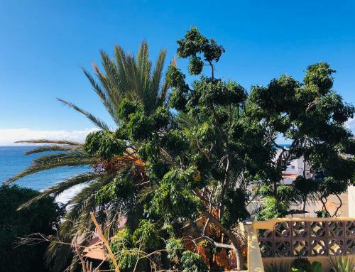 Apartamento Efigenia Playa/mar 1