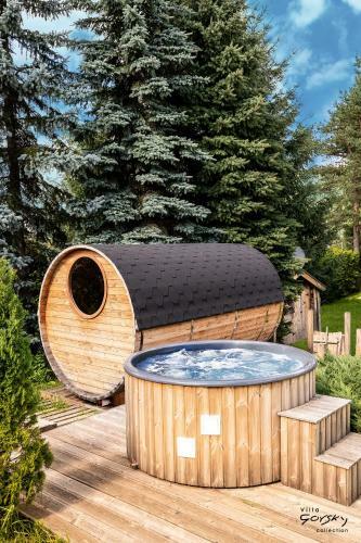 Luxury Chalet Villa Gorsky-hanco