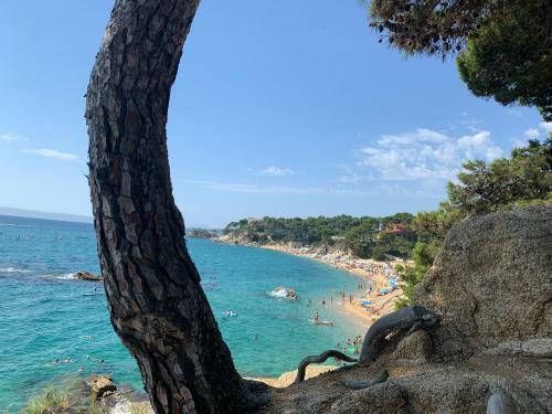 Apartamento Antonella II