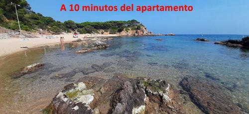 Apartamentos Turartic