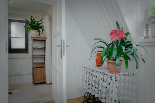 Apartamento Pokoje Go?cinne Mr�z Krystyna