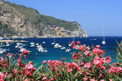 Naturaleza Y Relax A 5 Min A Pie de La Playa