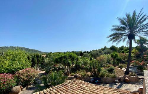 Apartamento Finca Oase - App.tejado
