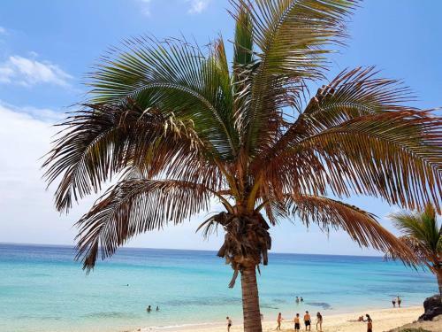 Apartamento Your Ocean Suite