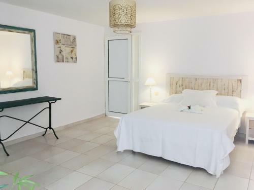 Apartamento Cardon Big Calm 10