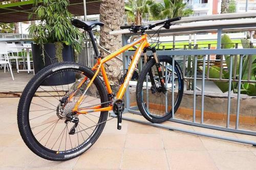 Apartamento Cardon Big Calm 10
