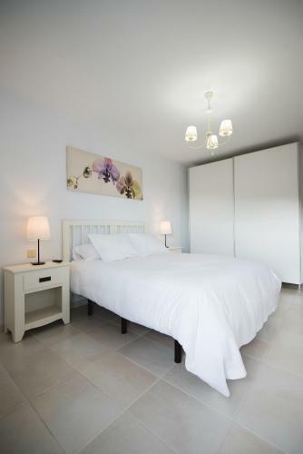 Apartamento Cardon Big Calm 10