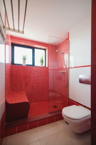 Apartamento Cardon Big Calm 10