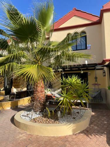 Agpi Fuerteventura Apartments