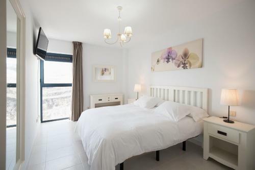 Apartamento Cardon Big Calm 19
