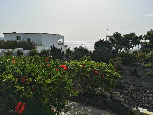 Apartamento Los Hibiscos 404