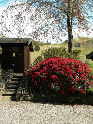Lagnakeil Lodges & Cottages