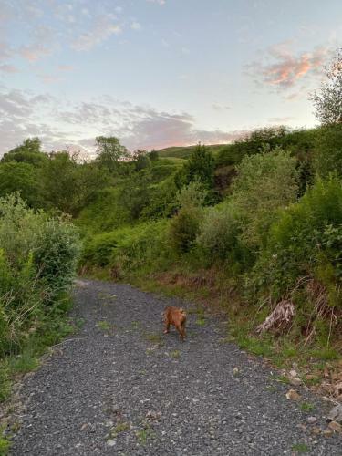 Lagnakeil Lodges & Cottages