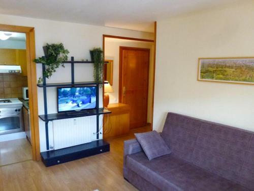 Apartamentos Formigal - Admite Mascotas