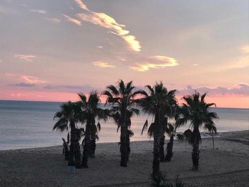Paraiso Frente Al Mar Apto Duplex