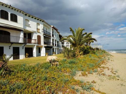 Paraiso Frente Al Mar Apto Duplex