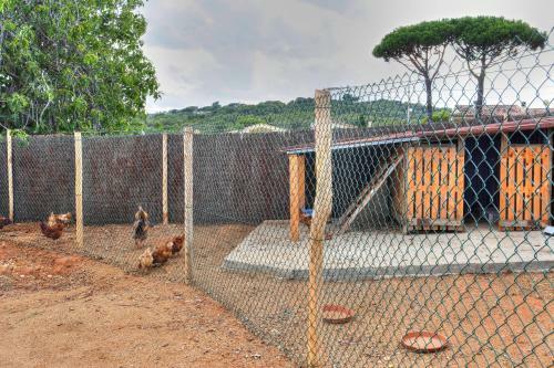 Apartamento Masia Cal Ros