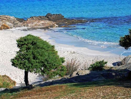 Appartamento Sole E Mare