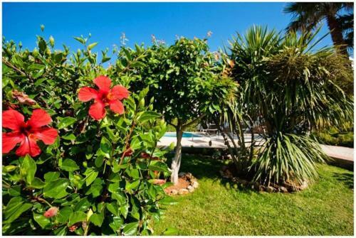 Bini Cel Heated Pool For 6 Pax Luxury Villa