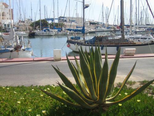 Luxury Apartment In Central Almerimar