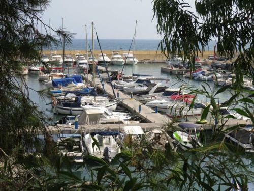 Sea View 2-bed Apartment Cabo Roig Costa Blanca