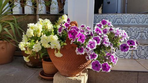 La Zenia Holiday Home