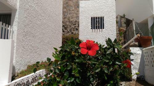 Apartamento Sweet House