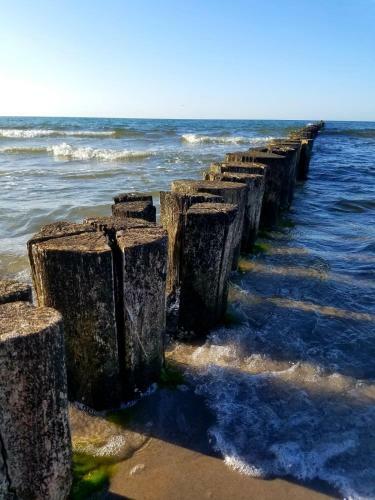 Apartamento Zingst Achtern Diek 12d Elly