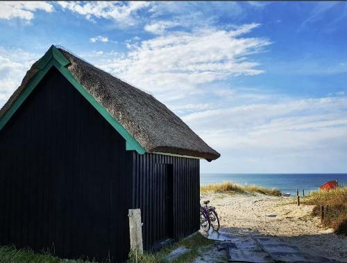 Apartamento Zingst Achtern Diek 12d Elly