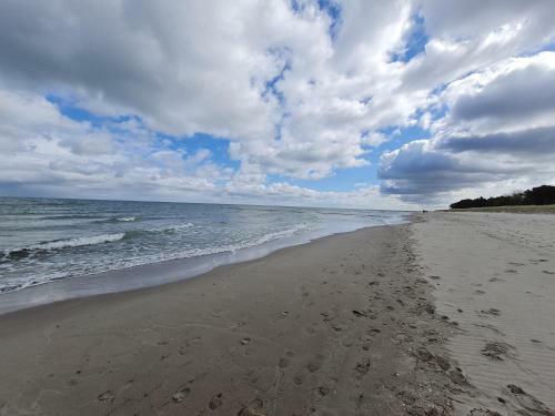 Apartamento Zingst Achtern Diek 12d Elly