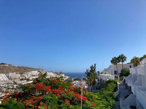 Apartamento Carolina Apt 6 Gran Canaria