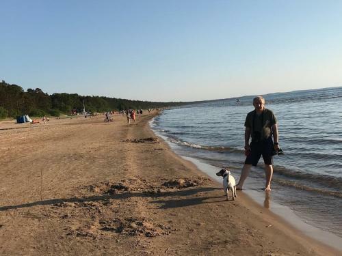 Apartments In Vabaduse 72