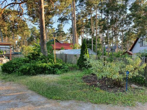 Suvemaja