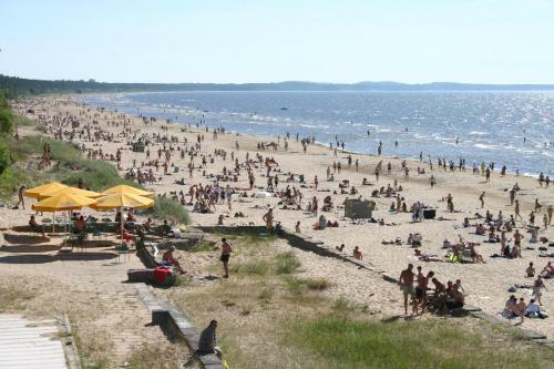 ?????? ??????? Svetofor ? Narva-j�esuu